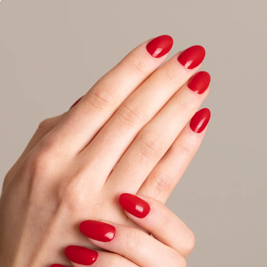 Gelegant n.511 COSMOPOLITAN - immagine 2